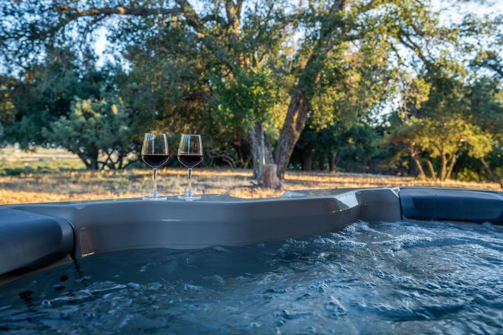 Country Cowboy Hot Tub Hideaway On 20 Acres Villa Borrego Springs Exterior foto